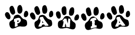 The image shows a series of animal paw prints arranged horizontally. Within each paw print, there's a letter; together they spell Pania
