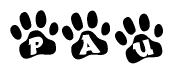 The image shows a row of animal paw prints, each containing a letter. The letters spell out the word Pau within the paw prints.