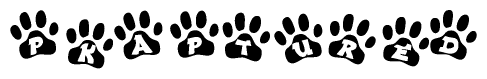 The image shows a row of animal paw prints, each containing a letter. The letters spell out the word Pkaptured within the paw prints.