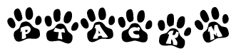 The image shows a row of animal paw prints, each containing a letter. The letters spell out the word Ptackm within the paw prints.