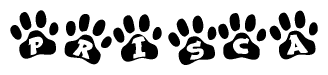 The image shows a series of animal paw prints arranged horizontally. Within each paw print, there's a letter; together they spell Prisca