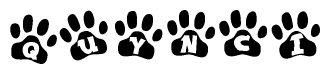The image shows a series of animal paw prints arranged horizontally. Within each paw print, there's a letter; together they spell Quynci
