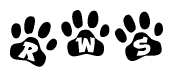 The image shows a series of animal paw prints arranged in a horizontal line. Each paw print contains a letter, and together they spell out the word Rws.
