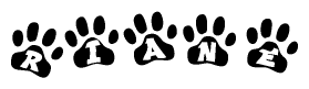 The image shows a series of animal paw prints arranged in a horizontal line. Each paw print contains a letter, and together they spell out the word Riane.