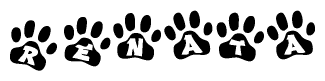 The image shows a series of animal paw prints arranged in a horizontal line. Each paw print contains a letter, and together they spell out the word Renata.