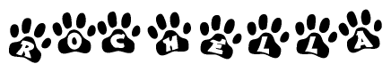 The image shows a series of animal paw prints arranged in a horizontal line. Each paw print contains a letter, and together they spell out the word Rochella.