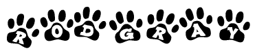 The image shows a row of animal paw prints, each containing a letter. The letters spell out the word Rodgray within the paw prints.