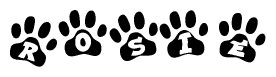The image shows a series of animal paw prints arranged horizontally. Within each paw print, there's a letter; together they spell Rosie