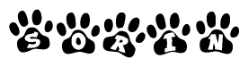 The image shows a row of animal paw prints, each containing a letter. The letters spell out the word Sorin within the paw prints.