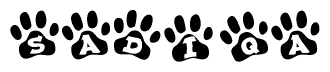 The image shows a row of animal paw prints, each containing a letter. The letters spell out the word Sadiqa within the paw prints.
