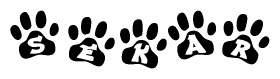 The image shows a series of animal paw prints arranged in a horizontal line. Each paw print contains a letter, and together they spell out the word Sekar.