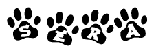 The image shows a series of animal paw prints arranged horizontally. Within each paw print, there's a letter; together they spell Sera