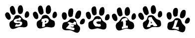 The image shows a series of animal paw prints arranged in a horizontal line. Each paw print contains a letter, and together they spell out the word Special.