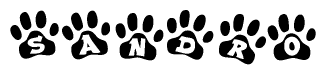 The image shows a row of animal paw prints, each containing a letter. The letters spell out the word Sandro within the paw prints.