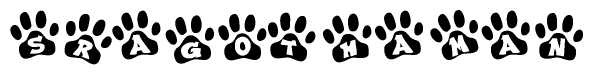 The image shows a series of animal paw prints arranged in a horizontal line. Each paw print contains a letter, and together they spell out the word Sragothaman.