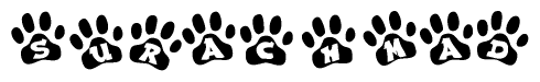The image shows a series of animal paw prints arranged horizontally. Within each paw print, there's a letter; together they spell Surachmad
