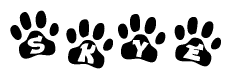 The image shows a row of animal paw prints, each containing a letter. The letters spell out the word Skye within the paw prints.