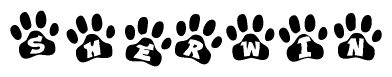 The image shows a series of animal paw prints arranged in a horizontal line. Each paw print contains a letter, and together they spell out the word Sherwin.