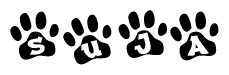 The image shows a series of animal paw prints arranged horizontally. Within each paw print, there's a letter; together they spell Suja