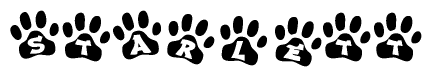 The image shows a series of animal paw prints arranged in a horizontal line. Each paw print contains a letter, and together they spell out the word Starlett.
