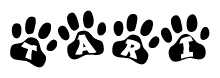 The image shows a row of animal paw prints, each containing a letter. The letters spell out the word Tari within the paw prints.