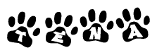 The image shows a row of animal paw prints, each containing a letter. The letters spell out the word Tena within the paw prints.