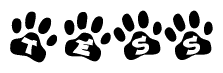 The image shows a series of animal paw prints arranged horizontally. Within each paw print, there's a letter; together they spell Tess