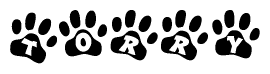 The image shows a row of animal paw prints, each containing a letter. The letters spell out the word Torry within the paw prints.