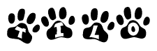 The image shows a series of animal paw prints arranged horizontally. Within each paw print, there's a letter; together they spell Tilo