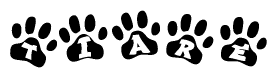 The image shows a series of animal paw prints arranged in a horizontal line. Each paw print contains a letter, and together they spell out the word Tiare.