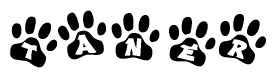 The image shows a series of animal paw prints arranged in a horizontal line. Each paw print contains a letter, and together they spell out the word Taner.