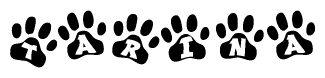 The image shows a series of animal paw prints arranged horizontally. Within each paw print, there's a letter; together they spell Tarina