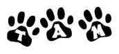 The image shows a series of animal paw prints arranged in a horizontal line. Each paw print contains a letter, and together they spell out the word Tam.