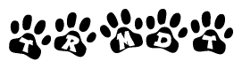 The image shows a row of animal paw prints, each containing a letter. The letters spell out the word Trmdt within the paw prints.