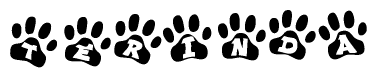 The image shows a series of animal paw prints arranged horizontally. Within each paw print, there's a letter; together they spell Terinda