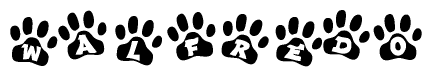 The image shows a series of animal paw prints arranged in a horizontal line. Each paw print contains a letter, and together they spell out the word Walfredo.