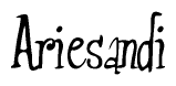 The image is of the word Ariesandi stylized in a cursive script.