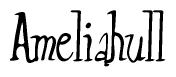 The image is of the word Ameliahull stylized in a cursive script.