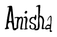 Cursive 'Anisha' Text