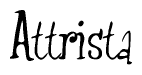 The image is of the word Attrista stylized in a cursive script.