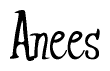 The image is of the word Anees stylized in a cursive script.