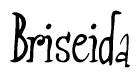 The image contains the word 'Briseida' written in a cursive, stylized font.