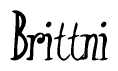 The image is of the word Brittni stylized in a cursive script.