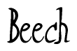 The image is a stylized text or script that reads 'Beech' in a cursive or calligraphic font.