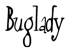 The image is of the word Buglady stylized in a cursive script.