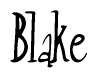 The image is of the word Blake stylized in a cursive script.