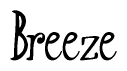 The image contains the word 'Breeze' written in a cursive, stylized font.