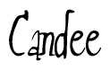 The image is of the word Candee stylized in a cursive script.
