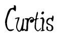 The image is a stylized text or script that reads 'Curtis' in a cursive or calligraphic font.