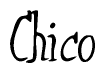 The image contains the word 'Chico' written in a cursive, stylized font.
